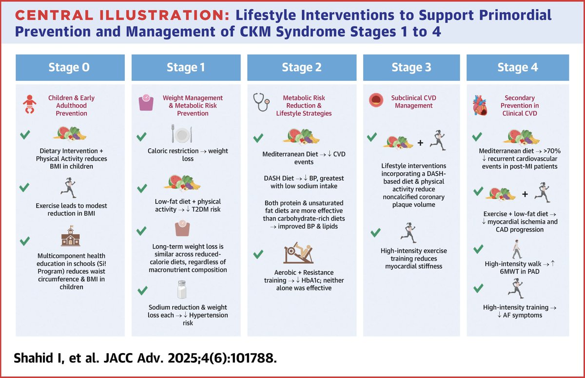 Jerrin Philip (@jerrinphilipmd) on Twitter photo New in JACC: Advances:
We outline evidence-based, scalable lifestyle intervention strategies to manage cardiovascular-kidney-metabolic (CKM) syndrome.
w/ <a href="/IzzaShahid_/">Izza Shahid</a>, <a href="/kershawpatel/">Kershaw Patel</a> & <a href="/khurramn1/">Khurram Nasir</a>
🔗 doi.org/10.1016/j.jaca…
#CardioTwitter #CKM #Prevention New in JACC: Advances:
We outline evidence-based, scalable lifestyle intervention strategies to manage cardiovascular-kidney-metabolic (CKM) syndrome.
w/ <a href="/IzzaShahid_/">Izza Shahid</a>, <a href="/kershawpatel/">Kershaw Patel</a> & <a href="/khurramn1/">Khurram Nasir</a>
🔗 doi.org/10.1016/j.jaca…
#CardioTwitter #CKM #Prevention