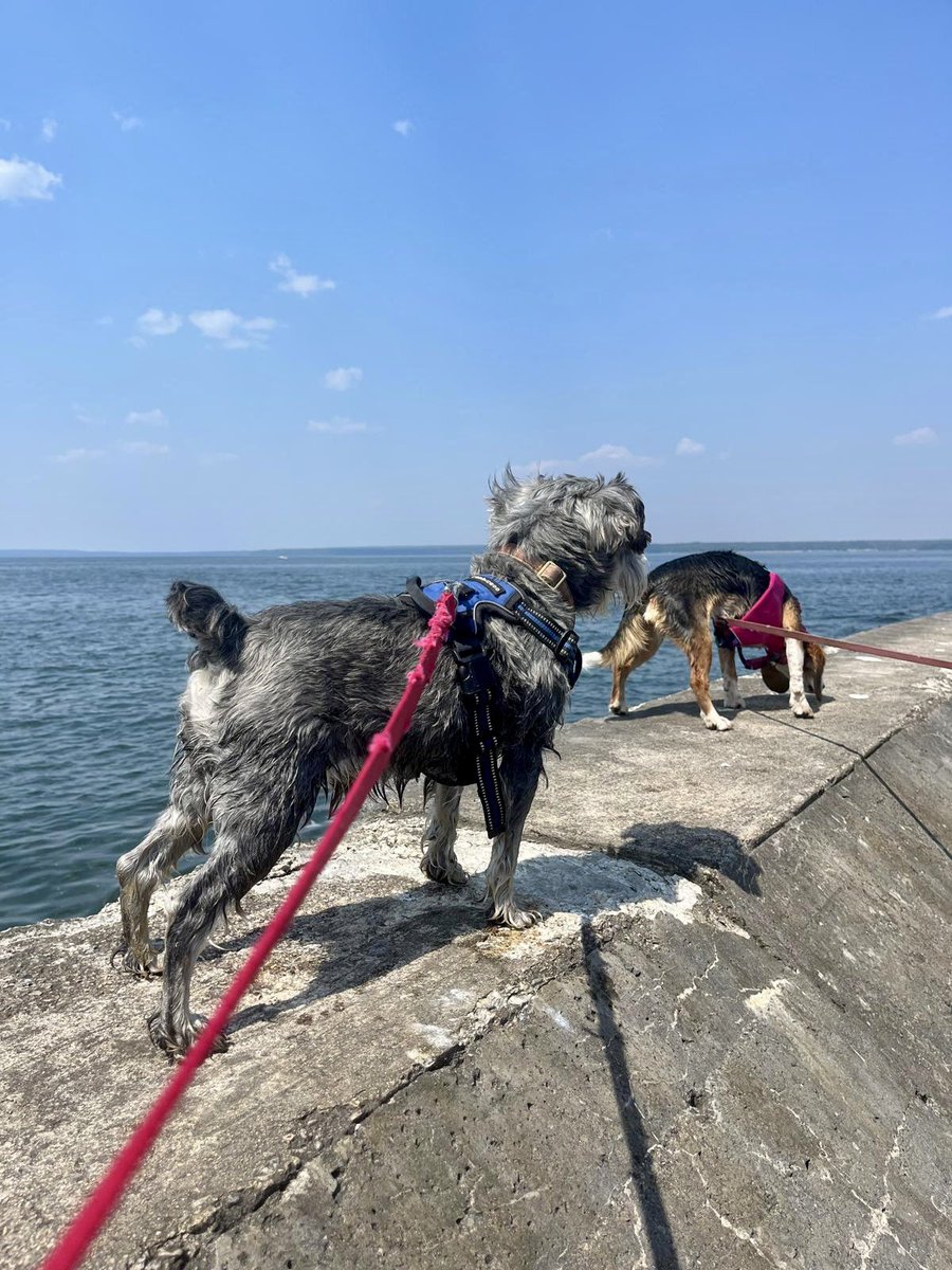 Happy Canada Day! Always best on a beach. #bestcountry