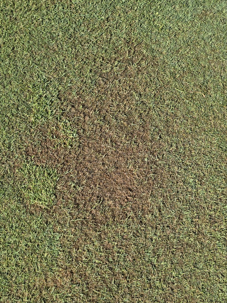 Tim Gravert tweet media