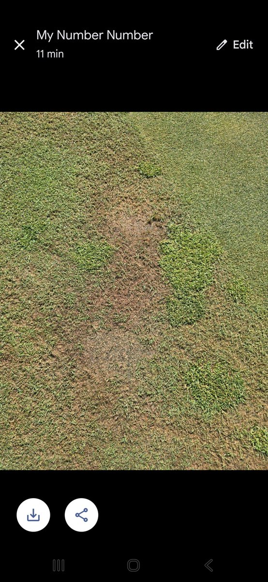 Tim Gravert tweet media