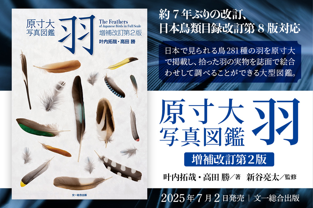 ［お知らせ］
本日は新刊【原寸大写真図鑑 羽 増補改訂第2版】の発売日。本書を書店さまでお求めご希望の場合、お取り寄せ対応になります。書店店頭でお手続き下さい

WEB書店では通常どおりご注文いただけます。ご注文可能な各WEB書店をツリーでつなげますので、お求めご希望の方はご参考下さい👉🏼