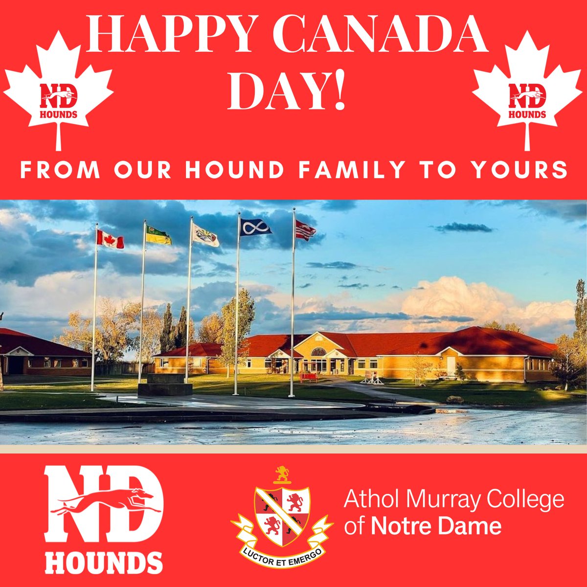 Happy Canada Day from our Hound Family to yours!

#notredamehounds_ #atholmurraycollegeofnotredame #canadaday2025 #notredamehoundsalumni