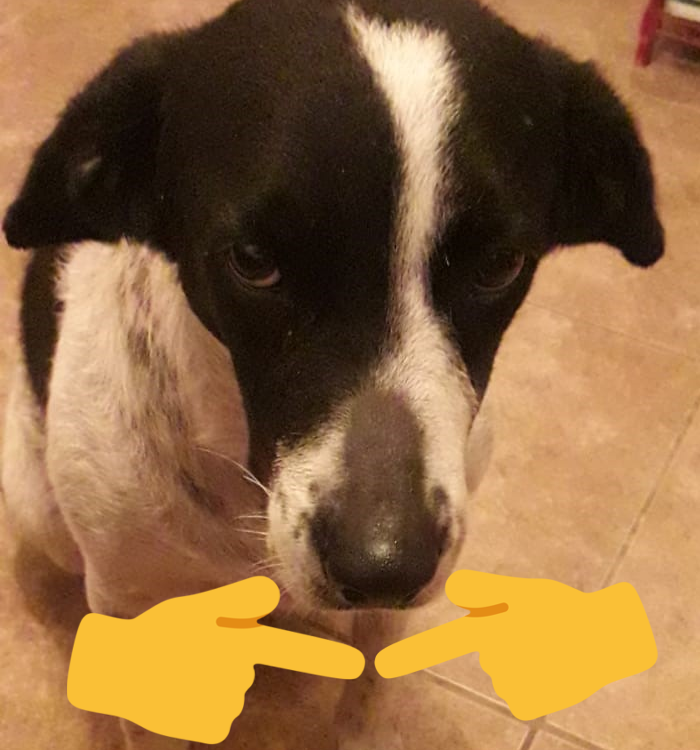 twitch.tv//niwatoritv EN VIVO AHORA!