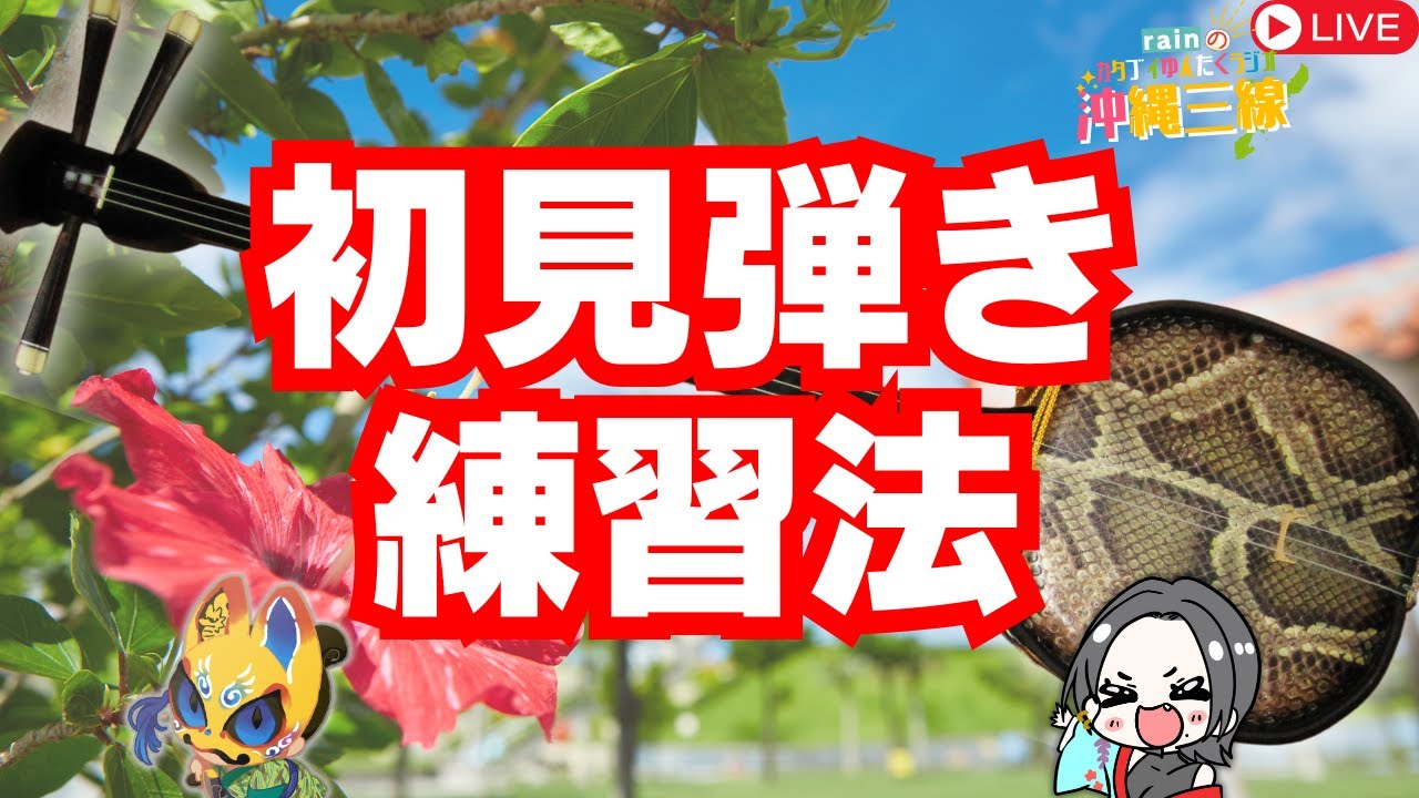 さんしん　三線 三線サンシン初心者セット