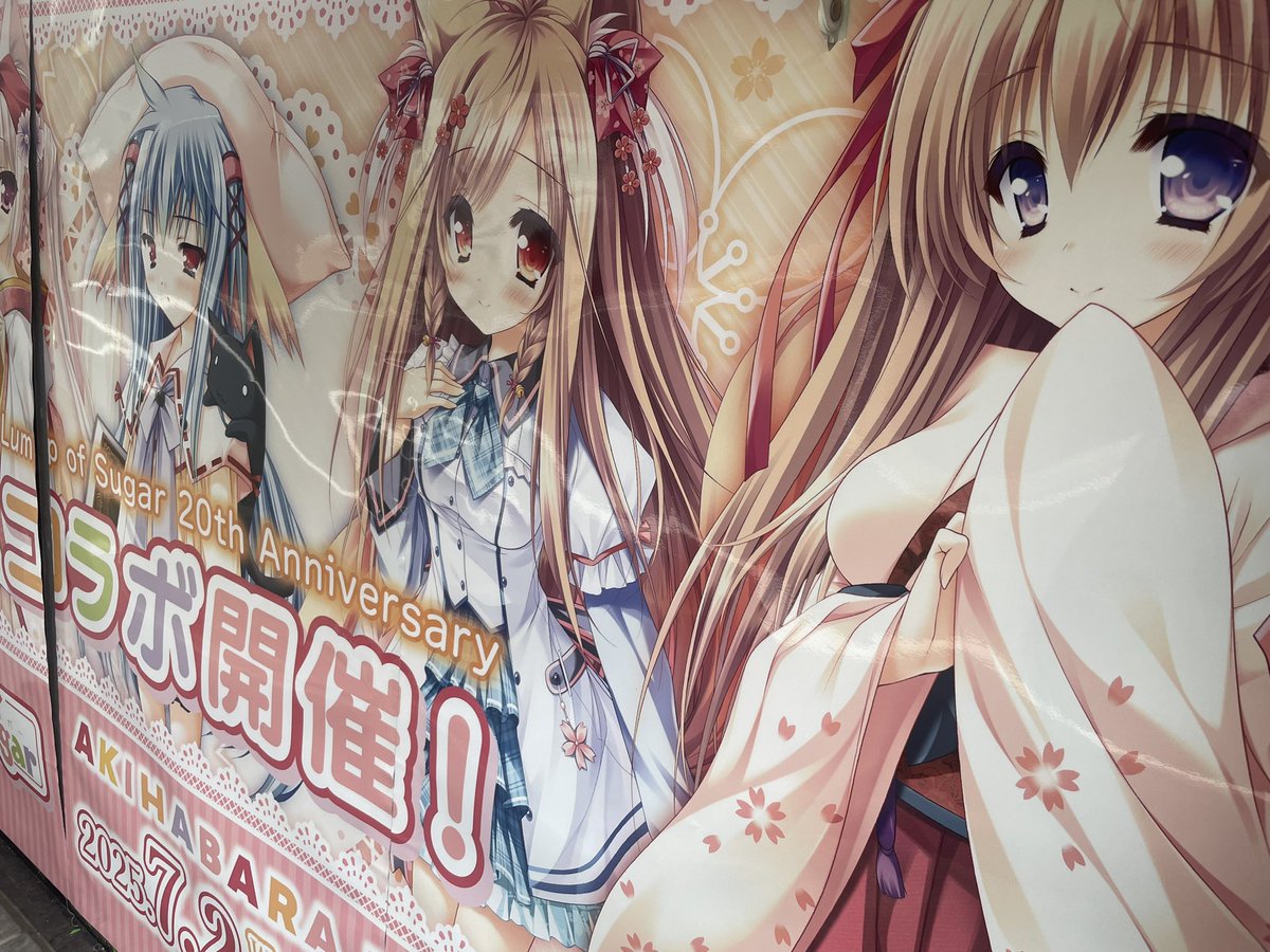 paradise、AKIHABARA BENTOコラボ、アヅマの のぼり paradise、AKIHABARA BENTOコラボ、アヅマの のぼり