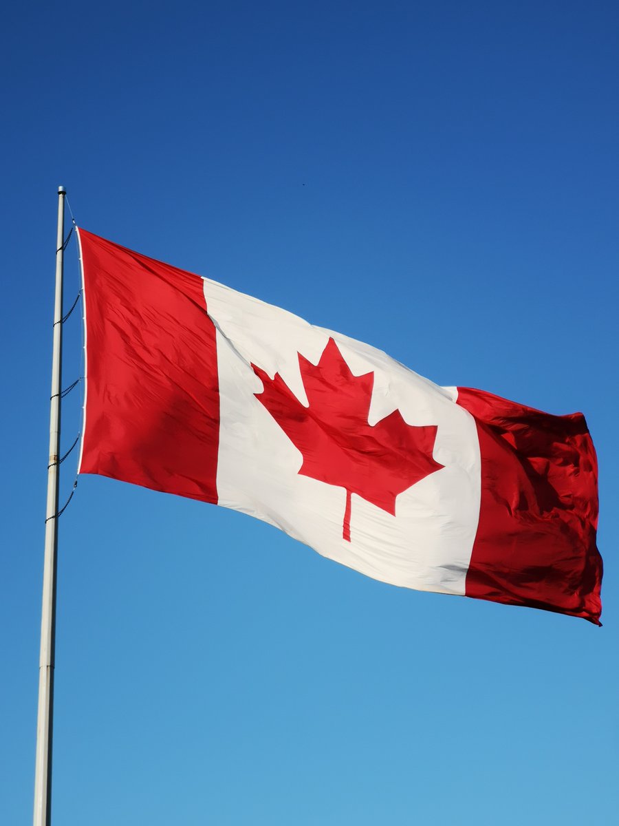 Francisco Pegado tweet media