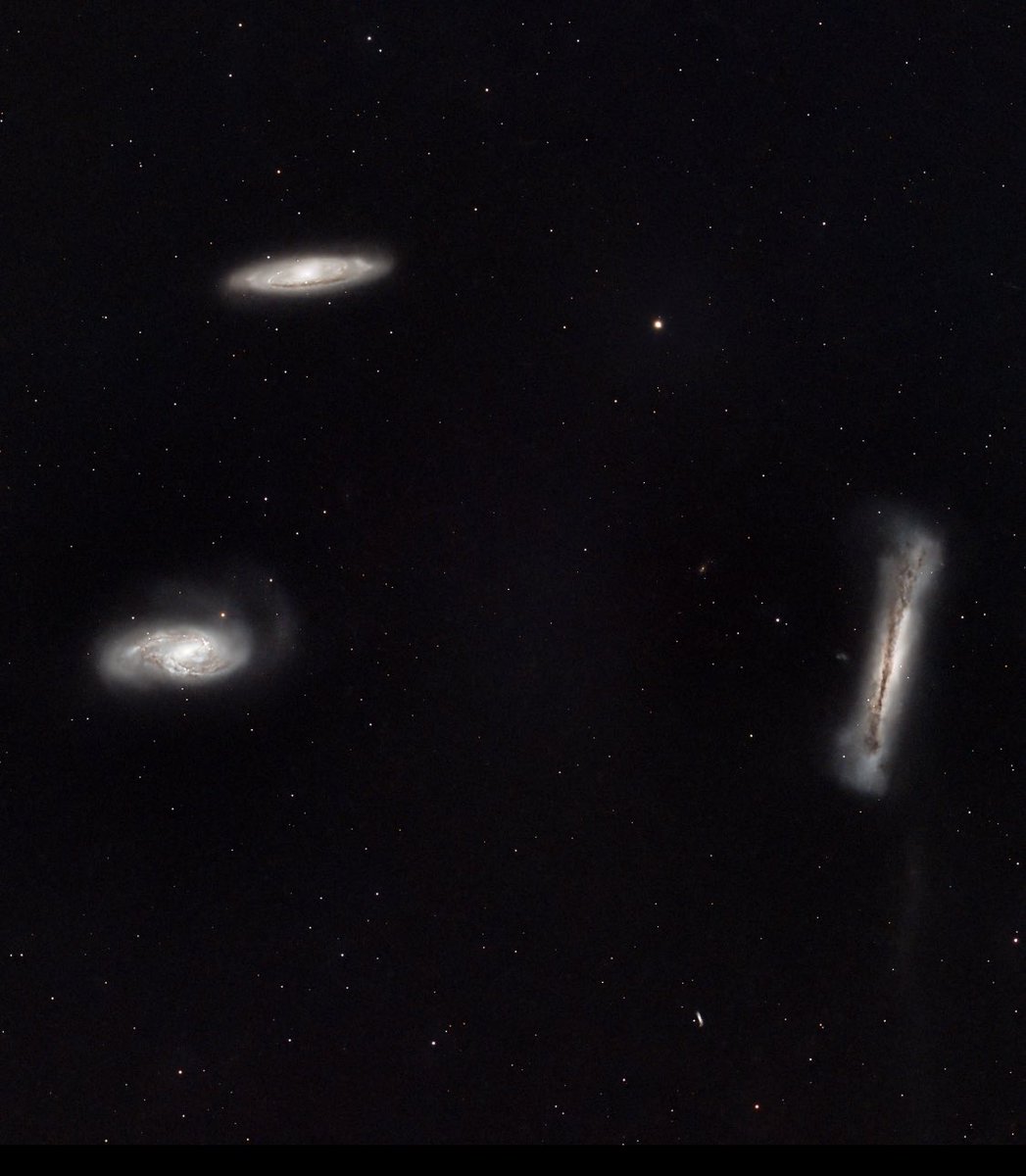 The Leo triplet/M66 group.
📷 <a href="/lucky_budd/">@luckybudd.bsky.social 🇨🇦</a>