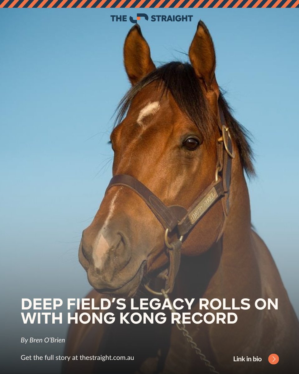 The Straight (@thestraightonx) on Twitter photo No stallion has posted HK$100 million in progeny earnings in a Hong Kong season - until now!
Deep Field, out of service since 2022, continues to deliver at the top end through a dwindling supply of runners.
📖 thestraight.com.au/deep-fields-le… No stallion has posted HK$100 million in progeny earnings in a Hong Kong season - until now!
Deep Field, out of service since 2022, continues to deliver at the top end through a dwindling supply of runners.
📖 thestraight.com.au/deep-fields-le…