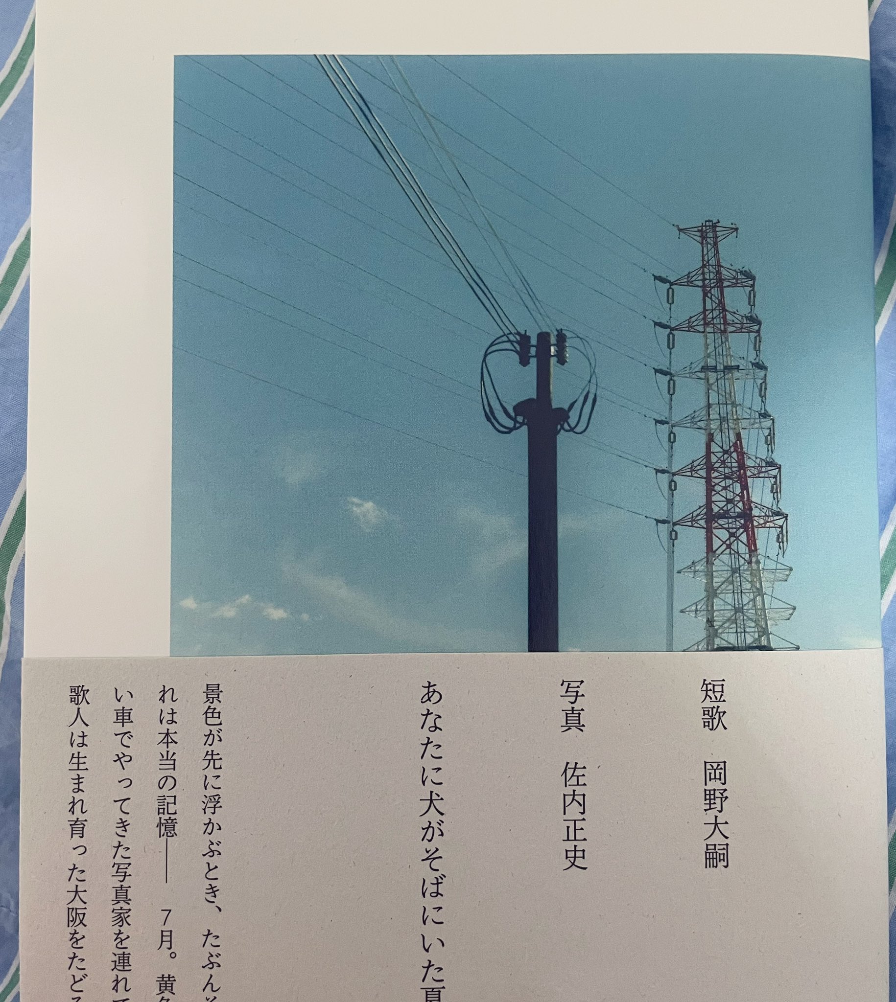 ぽんすけ (@ponponsk) / X