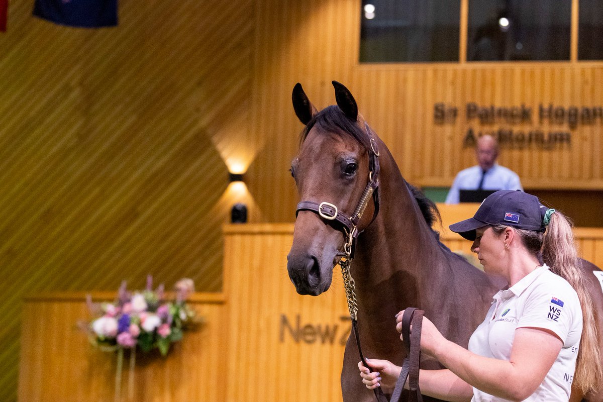 New Zealand Bloodstock (@karakachat) on Twitter photo Impressive debut win for the daughter of Savabeel, purchased by the <a href="/lindsayparkrace/">Lindsay Park Racing</a> team at Karaka 2024 for $100,000 from <a href="/WaikatoStud/">Waikato Stud</a>'s draft šš„ Impressive debut win for the daughter of Savabeel, purchased by the <a href="/lindsayparkrace/">Lindsay Park Racing</a> team at Karaka 2024 for $100,000 from <a href="/WaikatoStud/">Waikato Stud</a>'s draft šš„