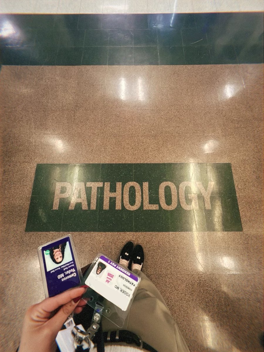 Cameron Yoder tweet media