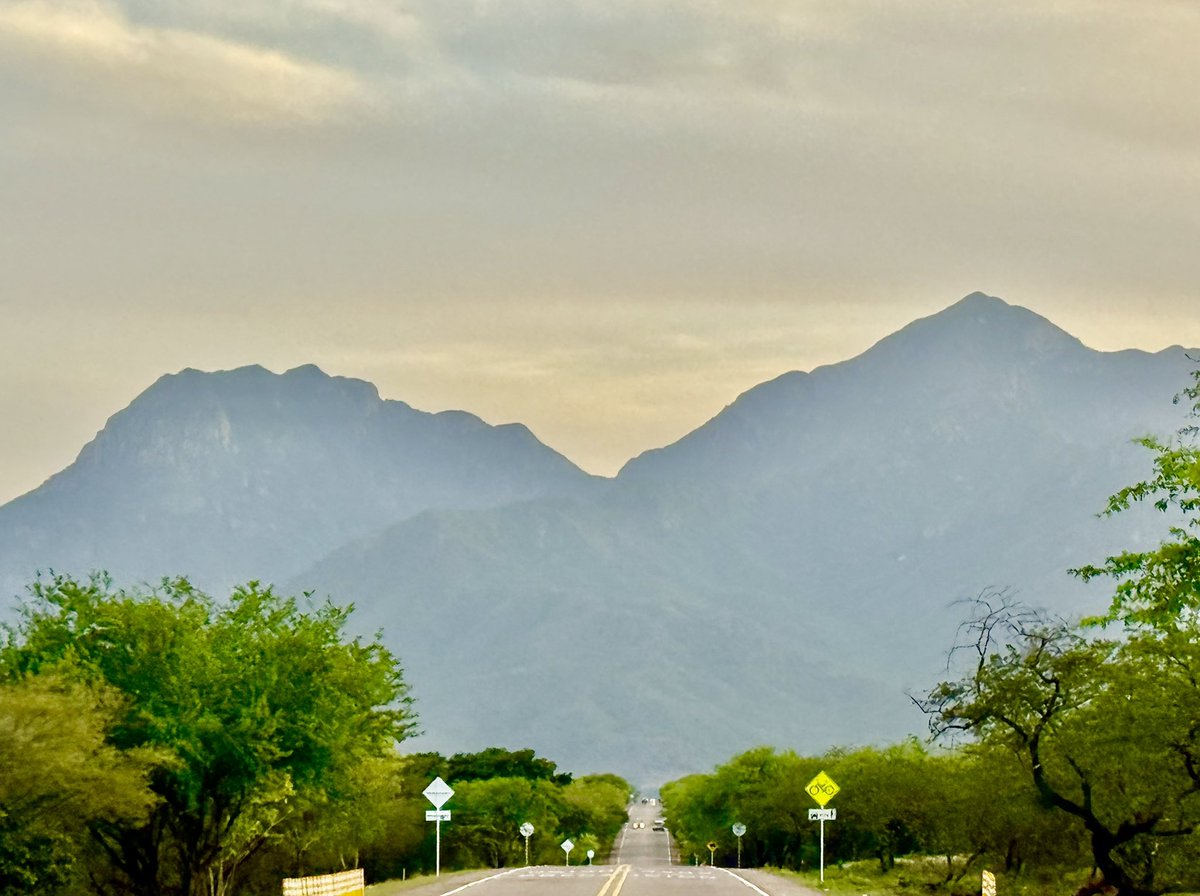 Diego Rosselli tweet media