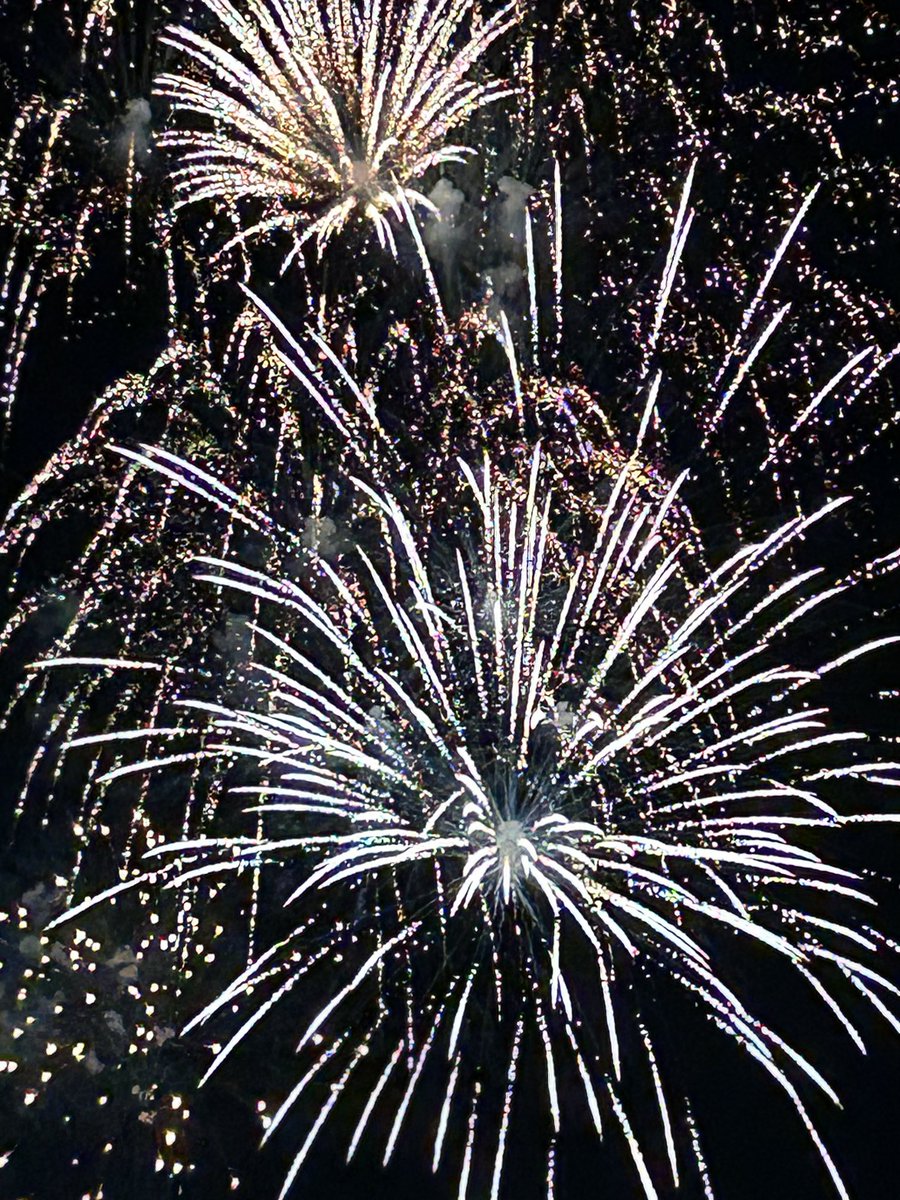 Nick Paparella tweet media