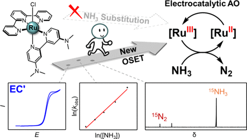 bhkenlo's tweet image. Electrocatalytic Ammonia Oxidation with Coordinatively Saturated Ruthenium Catalyst | Inorganic Chemistry pubs.acs.org/doi/10.1021/ac… Hamann and co-workers @InorgChem #ruthenium #tpy #dmabpy #ammonia #oxidation #electrocatalysis #outersphere