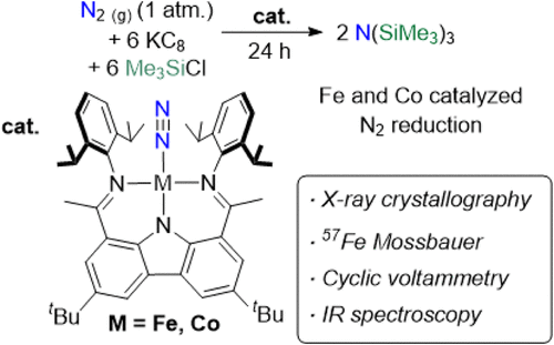 Ken Lo (@bhkenlo) on Twitter photo Dinitrogen Binding and Silylation by Bis(ketimino)carbazolide Complexes of Iron and Cobalt | Inorganic Chemistry pubs.acs.org/doi/10.1021/ac… Neidig, Song, and co-workers <a href="/InorgChem/">Inorganic Chemistry</a> #iron #cobalt #N2 #binding #silylation #fixation Dinitrogen Binding and Silylation by Bis(ketimino)carbazolide Complexes of Iron and Cobalt | Inorganic Chemistry pubs.acs.org/doi/10.1021/ac… Neidig, Song, and co-workers <a href="/InorgChem/">Inorganic Chemistry</a> #iron #cobalt #N2 #binding #silylation #fixation