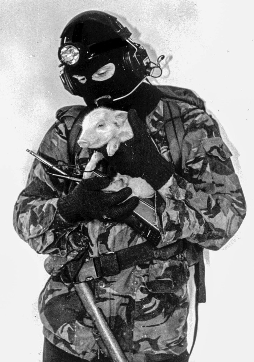 #AnimalLiberation 
Animals Are Here With Us, Not For Us!  Smash Speciesism!  Destroy Human Supremacy!  Until Every Cage Is Empty!