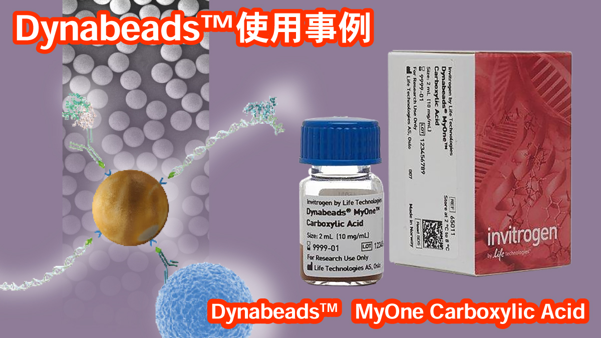 veritastk's tweet image. Ultrasensitive Bead-Based Immunoassay for Real-Time Continuous Sample Flow Analysis mdpi.com/3312280 #mdpibiosensors @Biosensors_MDPIより リアルタイム連続 #サンプルフロー #分析 のための超高感度ビーズベース #免疫 #測定法 の #開発 で #Dynabeads が利用されています