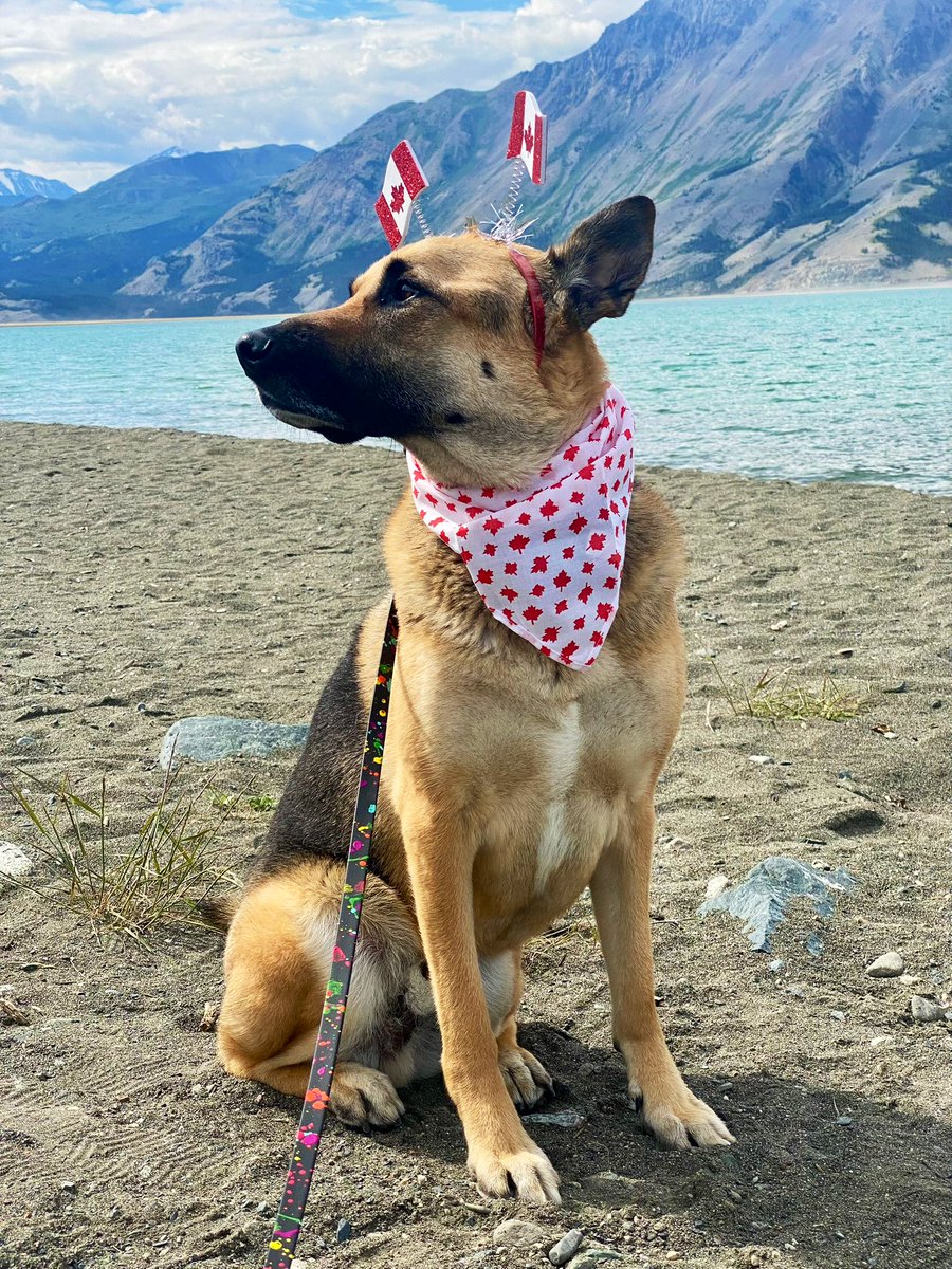 Happy Canada Day (and #tongueouttuesday) to all my pals!

I can’t wait to get home, to tell you all about our adventures in our beautiful country!  🇨🇦 🍁