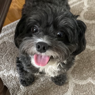 #NewProfilePic