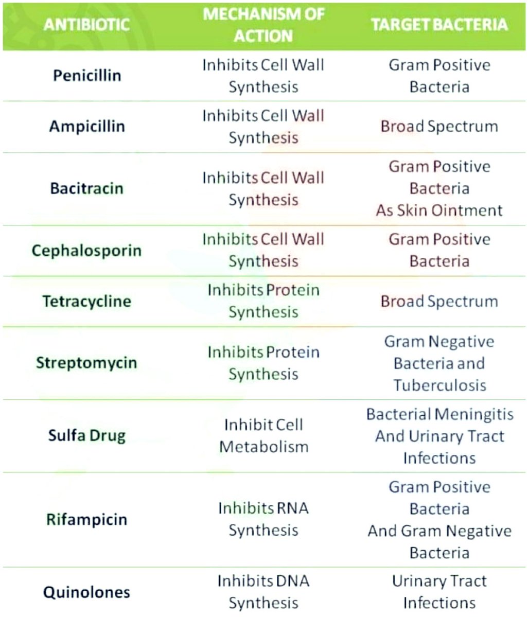 Common ANTIBIOTICS 

Penicillin

Ampicillin

Bacitracin

Cephalosporin

Tetracycline

Streptomycin

Sulfa Drug

Rifampicin

Quinolones