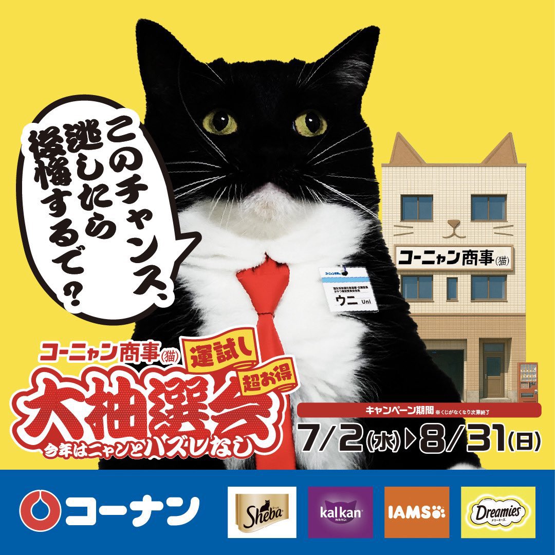ニャンゴローさま専用 このたびうにが、ホームセンター・コーナンの“猫社員”に就任しました