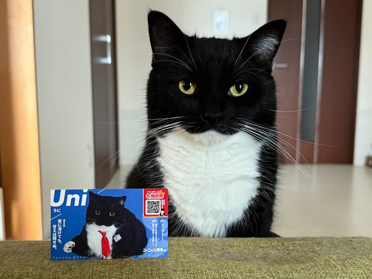 こうさん　専用ページ VOICEPEAK 水奈瀬コウ｜製品情報｜AHS(AH-Software)