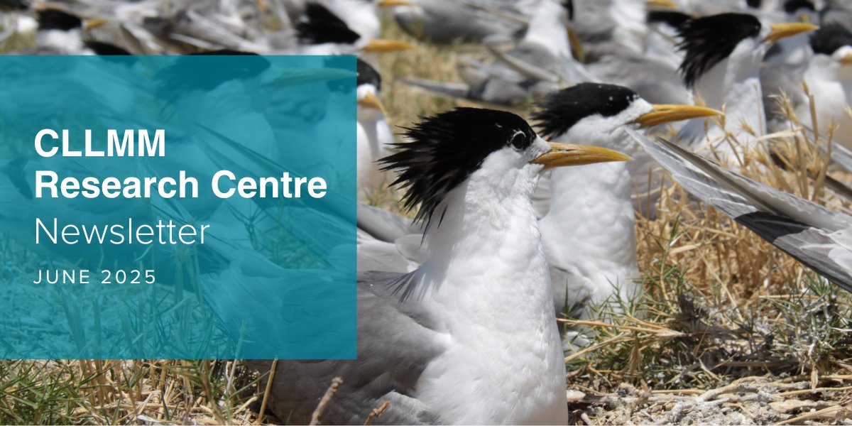 📢 Our June CLLMM Research Centre Newsletter is out now! Check out all the latest news and events.
👉 Read it here: mailchi.mp/cllmmresearchc…
#CLLMMRC #CLLMM  #waterresearch