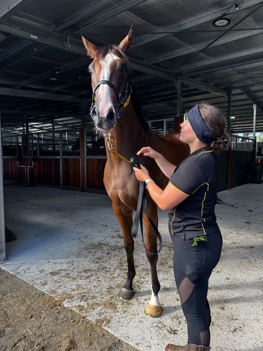 Matt Vella Racing Services (@mattvella_rs) on Twitter photo In light of what’s been a extremely sad few days for the industry I’d like to thank all my team for the commitment and hard work they put in, as we have seen it can be an awfully dangerous job at times but I’m very grateful to have such committed & proactive staff. 🕊️ 🐎 🧹 🫶🏽 In light of what’s been a extremely sad few days for the industry I’d like to thank all my team for the commitment and hard work they put in, as we have seen it can be an awfully dangerous job at times but I’m very grateful to have such committed & proactive staff. 🕊️ 🐎 🧹 🫶🏽