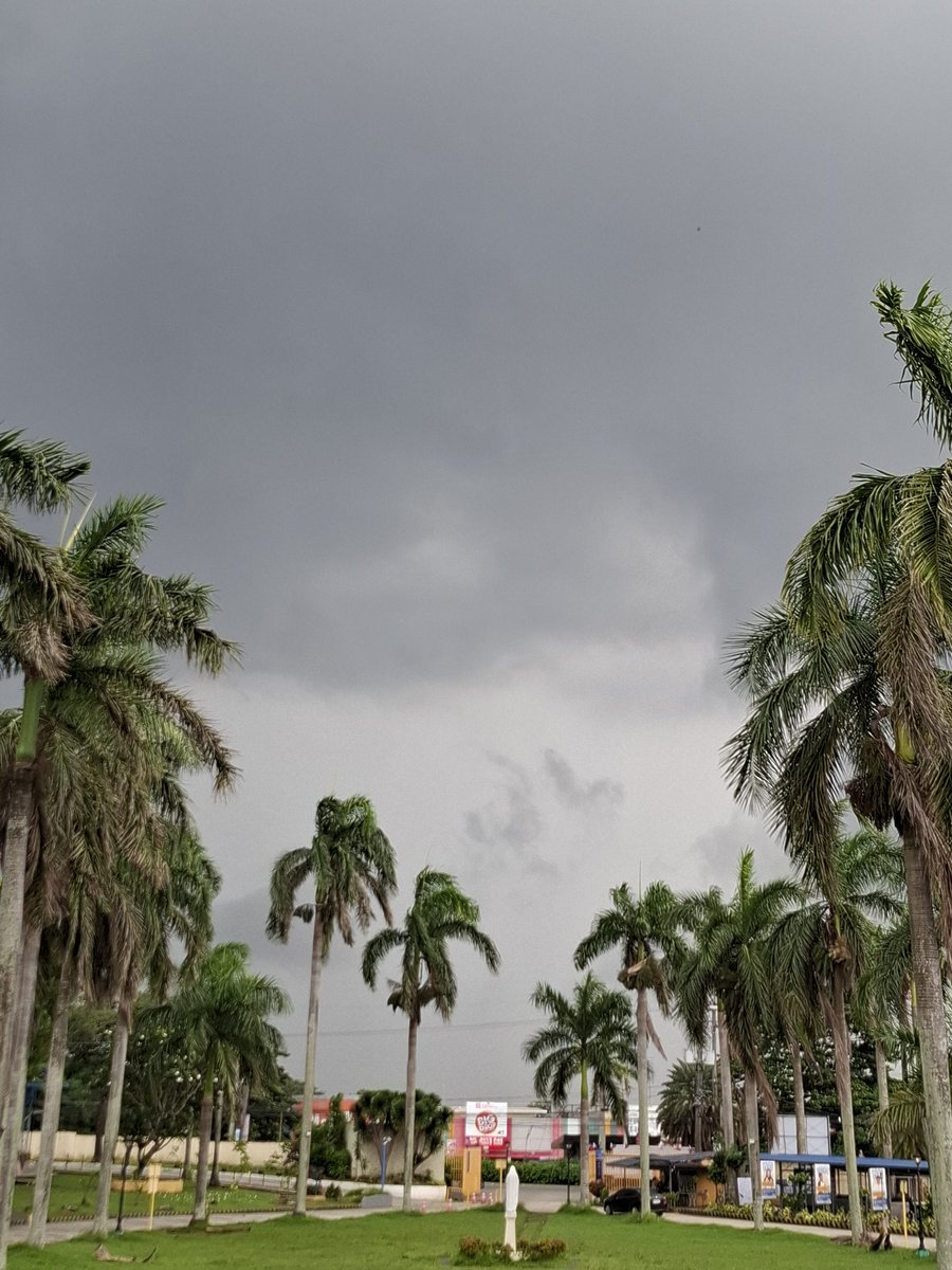 JoeJoy1607's tweet photo. Welcome July...
We know!
Protect us, Lord!
#JulyRain
#Julytyphon
#JulyWinds
#JulyGreen https://t.co/2lWFGTqmqX