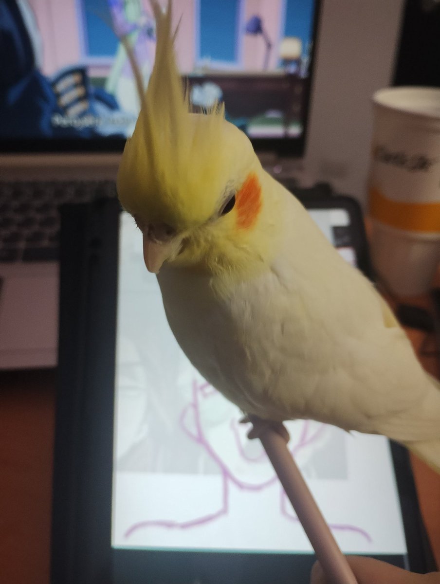 Kazu_ra0's tweet image. estaba dibujando y se subió a mi lápiz