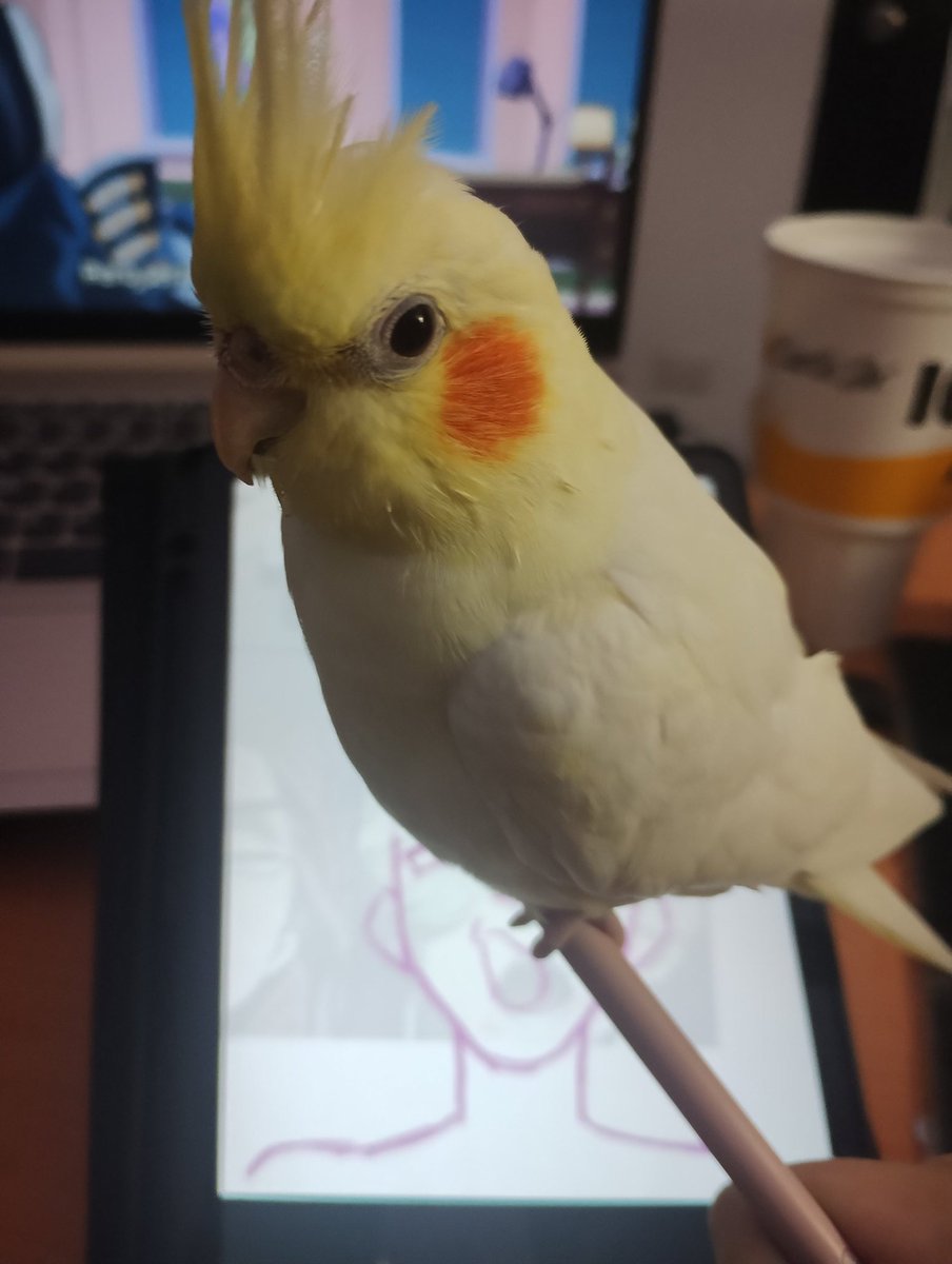 Kazu_ra0's tweet image. estaba dibujando y se subió a mi lápiz