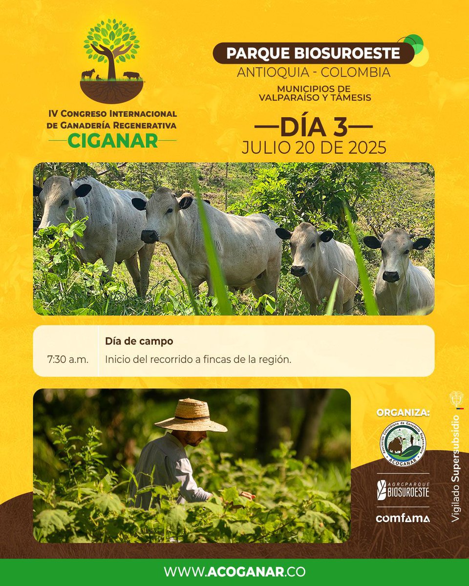 Hacienda El Pajuil - Ganadería Regenerativa tweet media