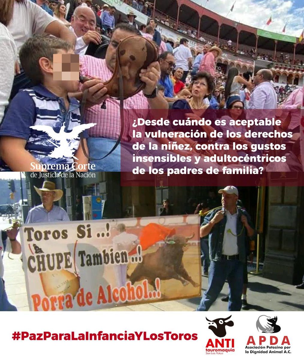 #SCJN La prohibición del acceso de menores a la tauromaquia es más que una ley: es un mensaje por la vida y la empatía. #PazParaLaInfanciaYLosToros Pedimos su #VotoEnContra del proyecto de la Ministra #YasmínEsquivel