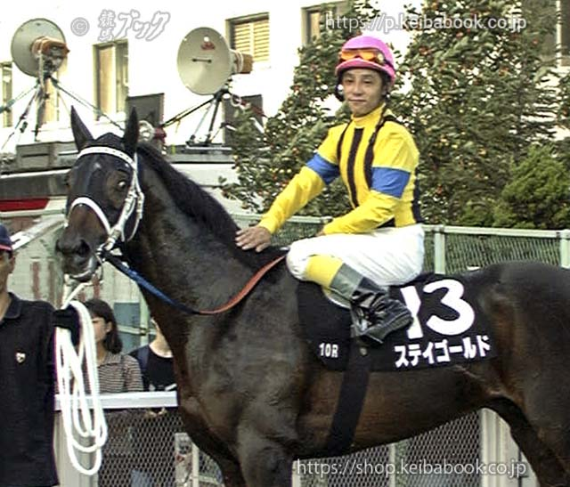 後世に残したい馬】 幅広い世代に大人気のステイゴールド。 「なかなか