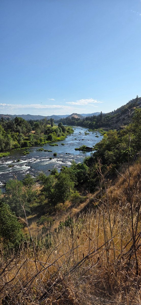 GCSAA_NW's tweet image. Wildlife, vistas and great conversations during site visits in Southern Oregon today!
#RoseburgCC
#OakHillsGC
#GrantsPassGC
#EaglePointGC