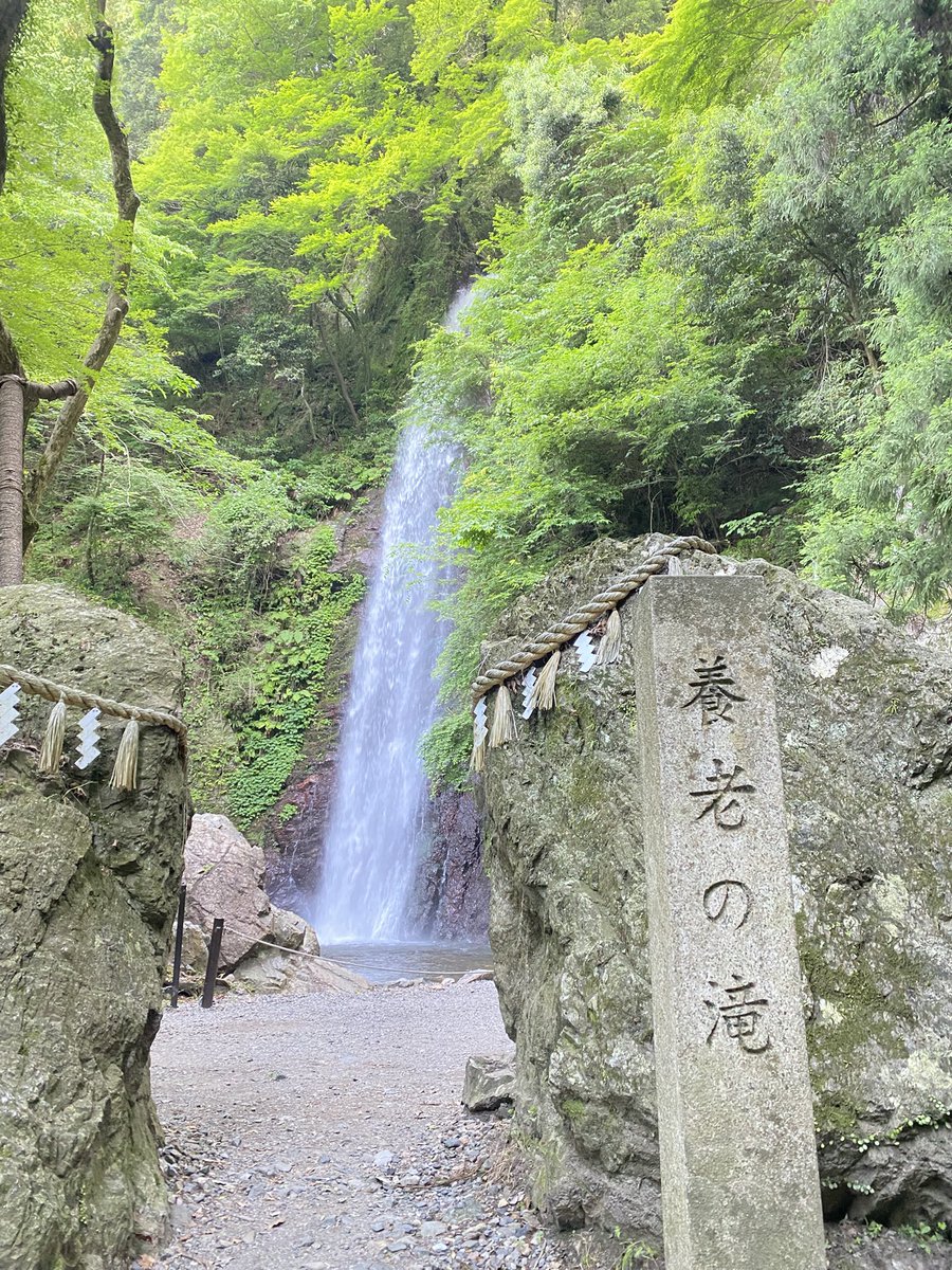 Ren3146's tweet photo. ほぼ無計画の旅🛵
実はしてました😊
2週間の途中経過 
 #旅  #養老の滝  #夕日  #名古屋城 https://t.co/ouE4TUBZNq