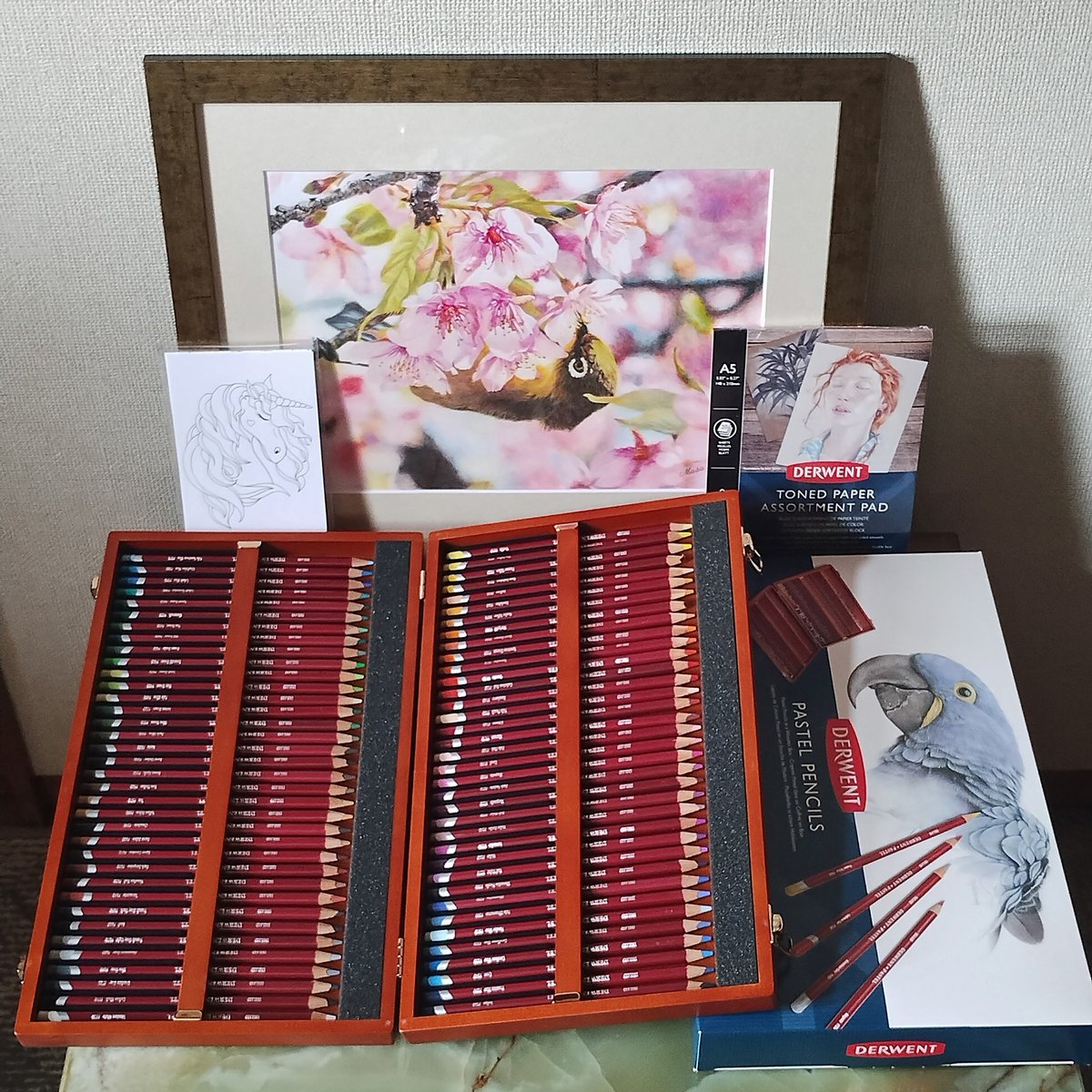 安部祐一朗 | 色鉛筆で描きました〜！ 「セアカゴケグモ