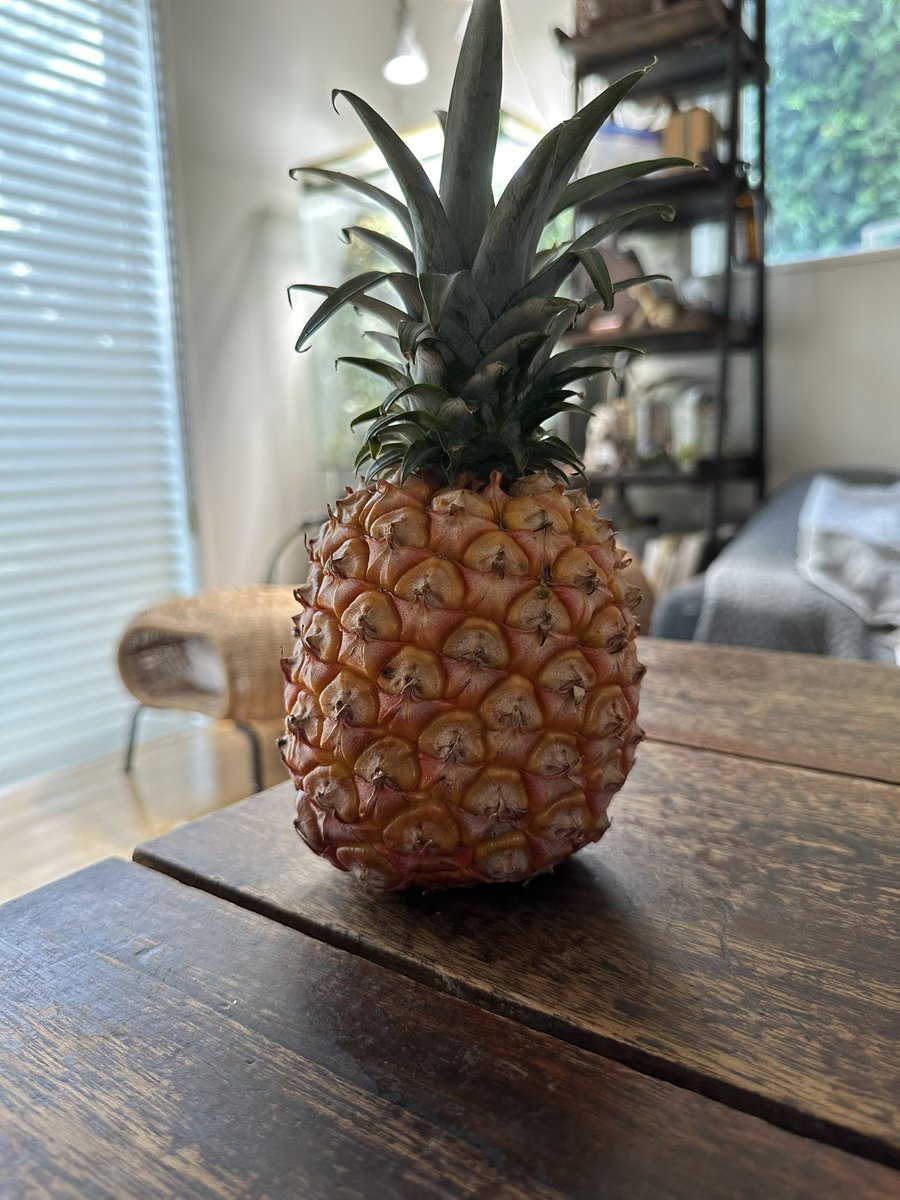ホワイトココってパイナップル食べた
…すごくおいしい