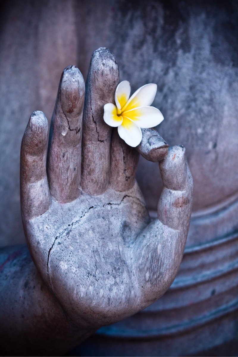 "Surrender to what is. Let go of what was. Have faith in what will be."