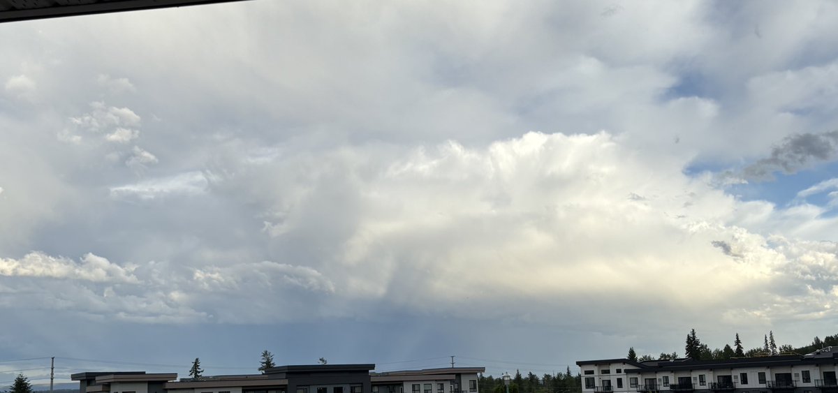 Caden Fanshaw tweet media