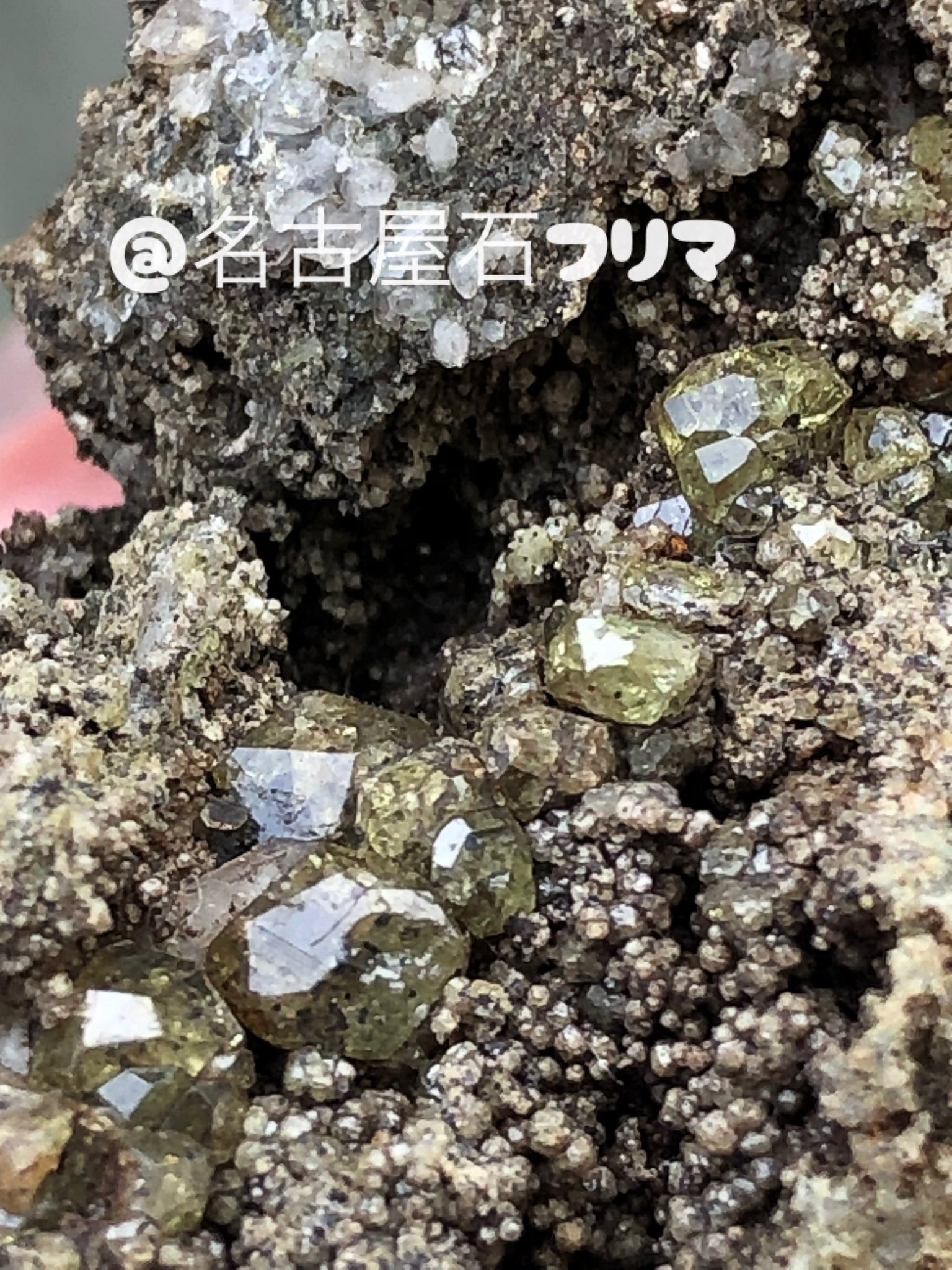 激安先着 てんてん on X:  その他