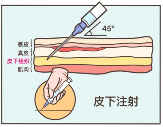你的零宝 tweet media