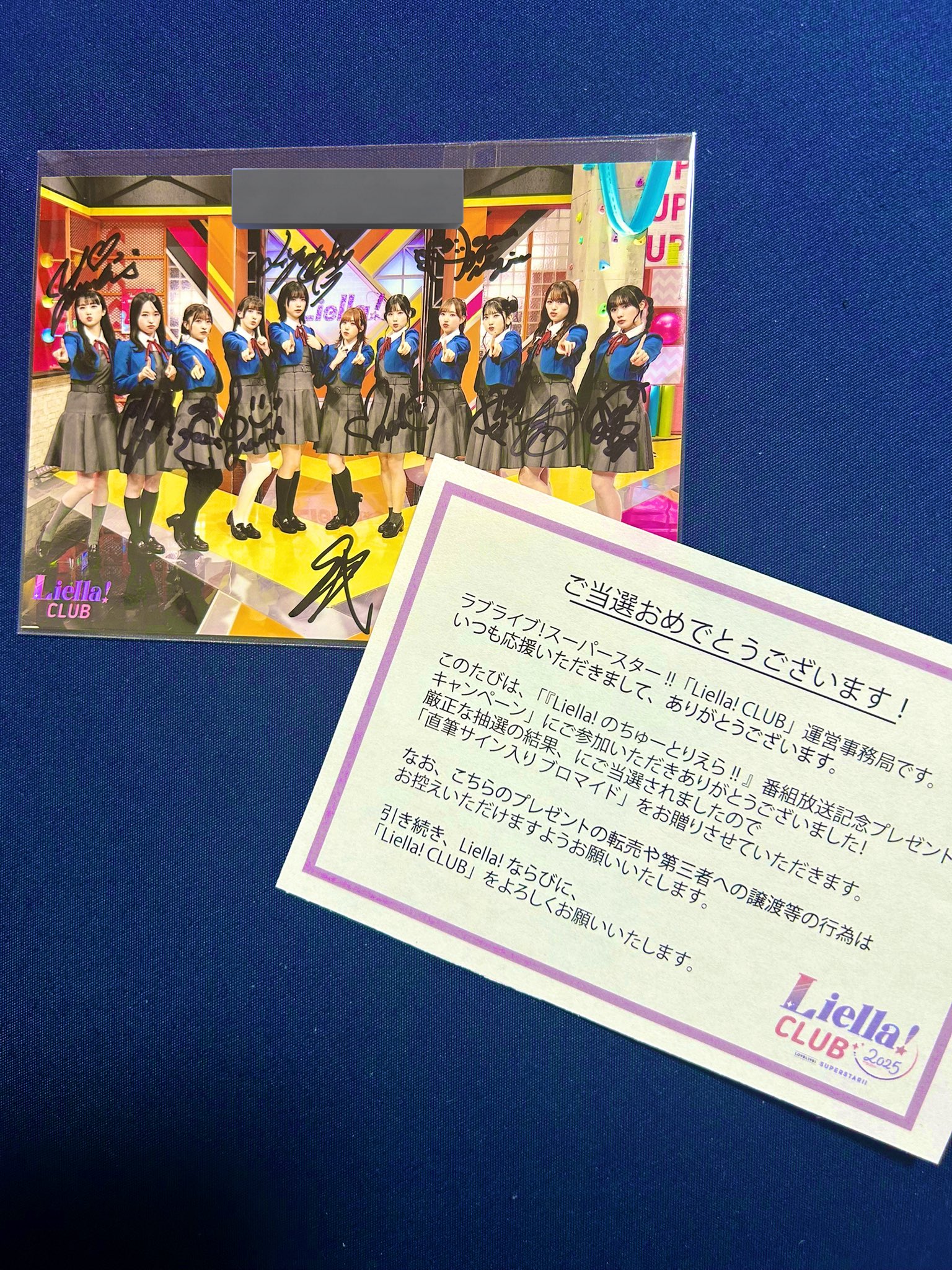 しんしん🐻 on X: 