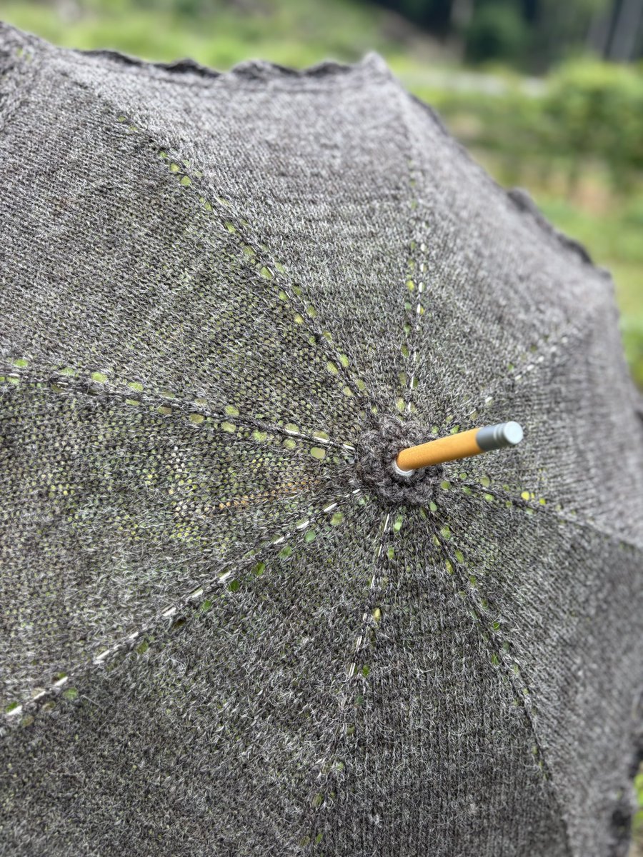 くま君の毛糸で羊の日傘🐑⛱️