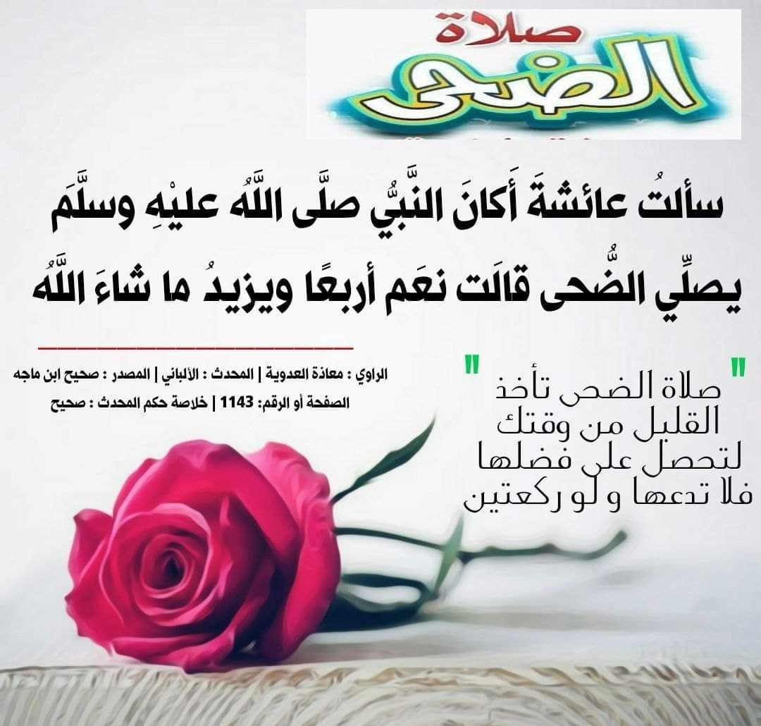 #صلاة_الضحى🌤

عن أُمِّ المؤمنين عائشة رضي الله عنها قالت : (كَانَ رَسُولُ اللَّهِ ﷺ يُصَلِّي الضُّحَى أَربَعًا ، وَيَزِيدُ مَاشَاءَ اللَّه) .
📚 صحيح مسلم

#صلاة_الضحى🌤
#لاتنساها_مع_نومك_أو_أشغالك 🌺🍃