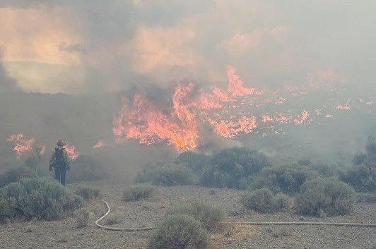 A coordinated regional response under Unified Command between the Reno Fire Department (RFD) and Truckee Meadows Fire Protection District (TMFPD) has brought the Barron fire in south Reno to 60% containment as of Tuesday evening. The brush fire, first reported around 2 p.m. on