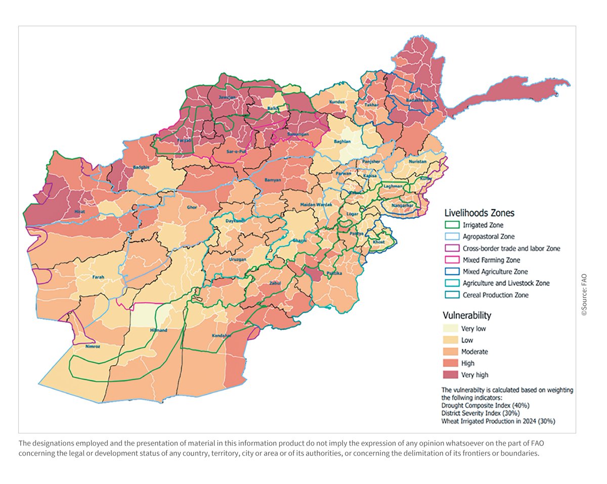 FAOAfghanistan's tweet image. 🚨 @FAO data show severe drought across northern, northwestern & northeastern regions, now spreading nationwide. Rainfed crops have collapsed & livestock losses are rising. Affected communities urgently need cash & livestock protection. FAO is ready to scale up its response.