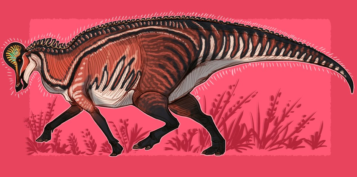 DinoDJ14's tweet image. A duck horse with a helmet
ft. Corythosaurus casuarius