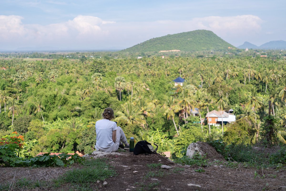 Sarah Newey tweet media