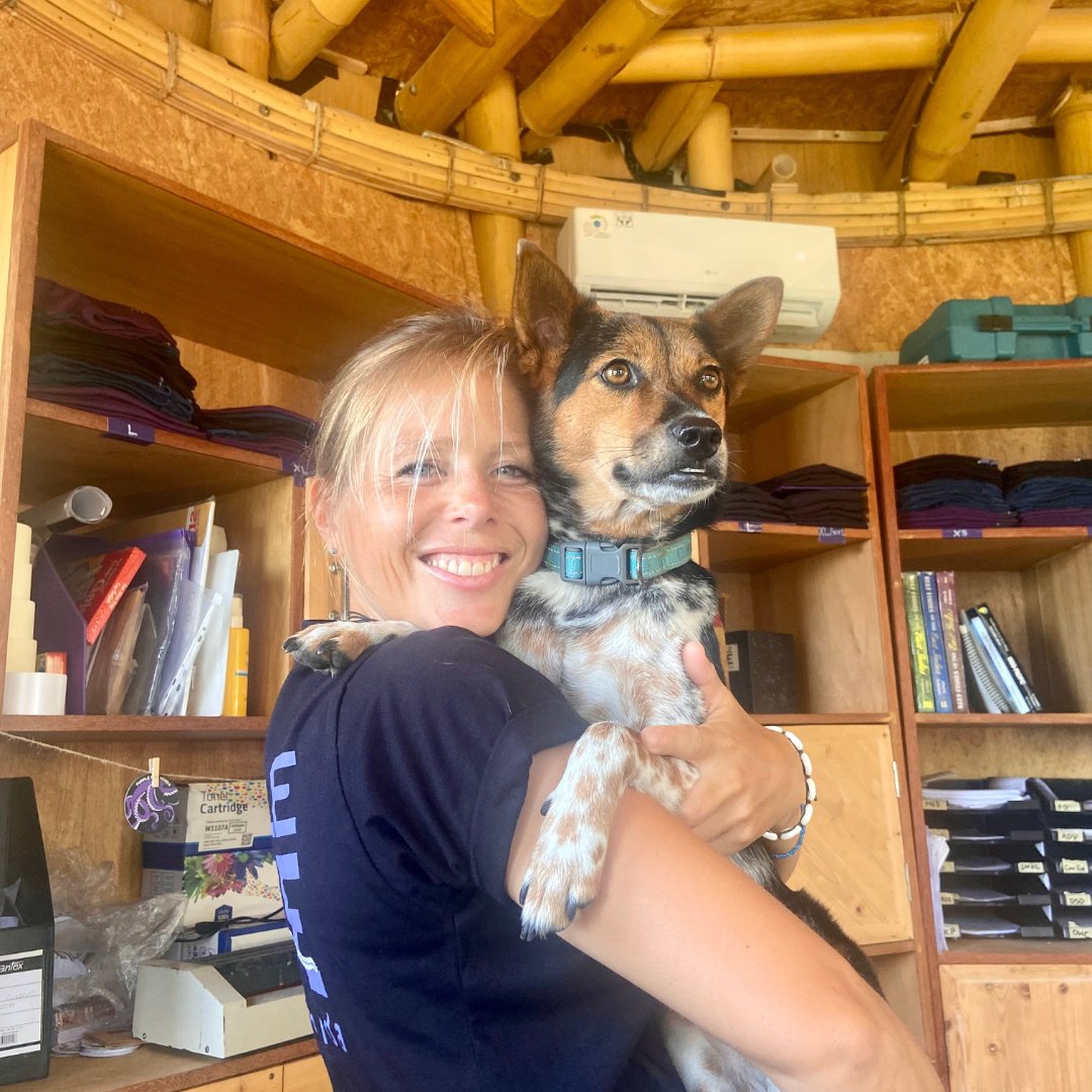 DivePenida's tweet image. 💜 PADI Women’s Dive Day – Portrait of the Week 💜

Meet Lisa — our General Manager and PADI IDC Staff Instructor. 😄⁠
⁠
#PADIWomensDiveDay #PADIpro #PADIIDC #purpledivepenida #scubawomen #womenwhodive #divinginspiration #nusapenida #meettheteam